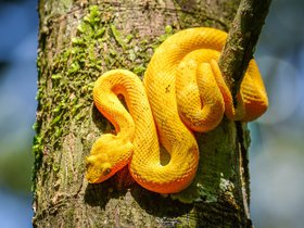 Costa Rica