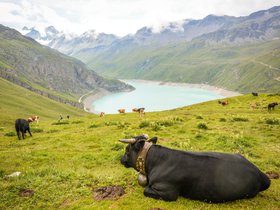 Haute Route, Switzerland