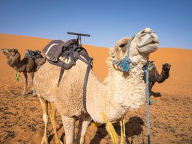 Morocco