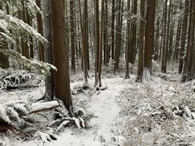 Canada, 2021