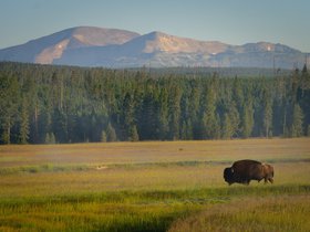 Yellowstone National Park, Wyoming