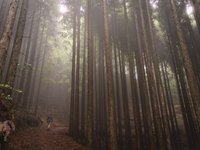 Japan, 2024
